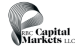 RBCCapitalMarketsLLC logotype