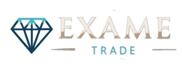 Exame Group logo