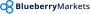 Blueberry Markets логотип
