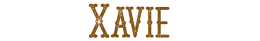 Xavie logo
