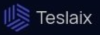 Teslaix logotype