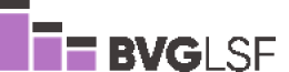 BVglsf logo