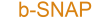 B Snap logo
