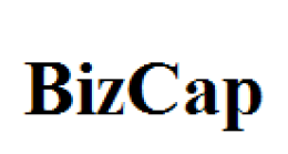BizCap logo