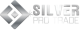 Silver Pro Trade logotype