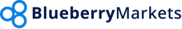Blueberry Markets logo