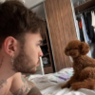 Крипто Пес logo