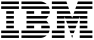 IBM logo