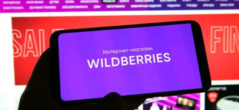Wildberries расширяет активы: организация стала владельцем аэропорта Ингушетии
