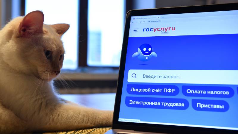 Липовый чат-бот «Госуслуг» выманивает данные пользователей