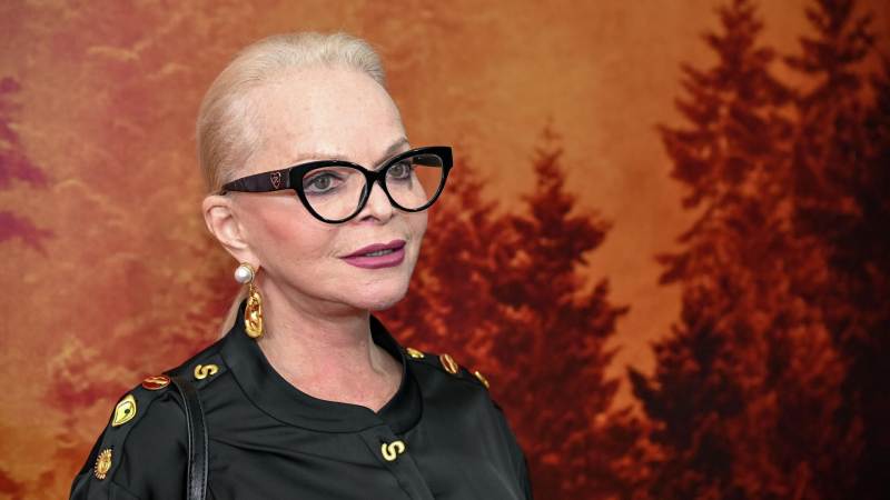 Лицо жилищной лотереи Ларисы Долиной исчезло из рекламы