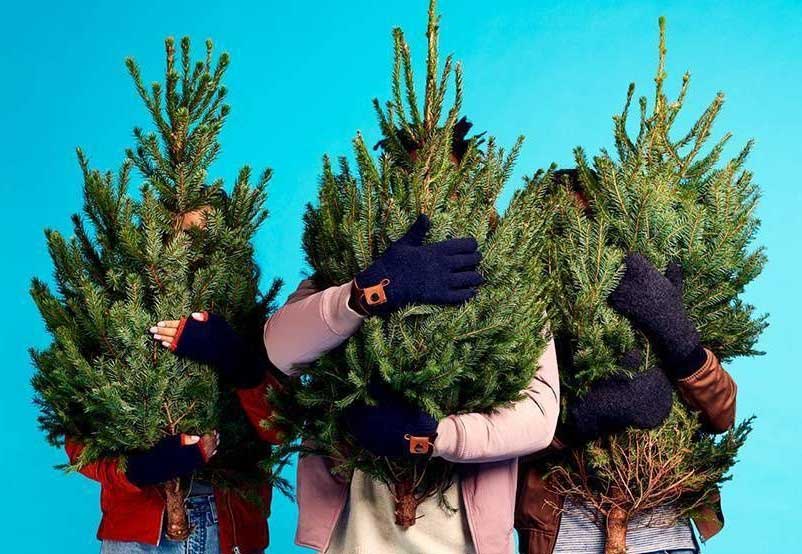 Самые опасные схемы мошенничества под Новый 2026 год и как от них защититься