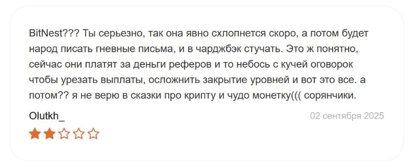 BitNest — реальный заработок на инвестициях в пул ликвидности или очередная финансовая пирамида?