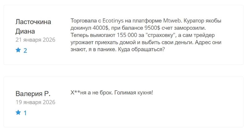 Псевдокомпания Ecotinys — экспертный разбор очередного клонированного лохотрона