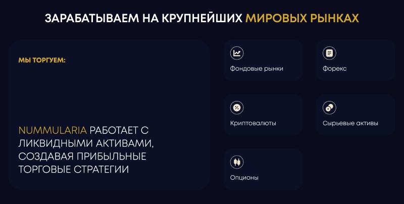 Nummularia — фейковая компания, ворующая клиентские деньги, представляясь брокером