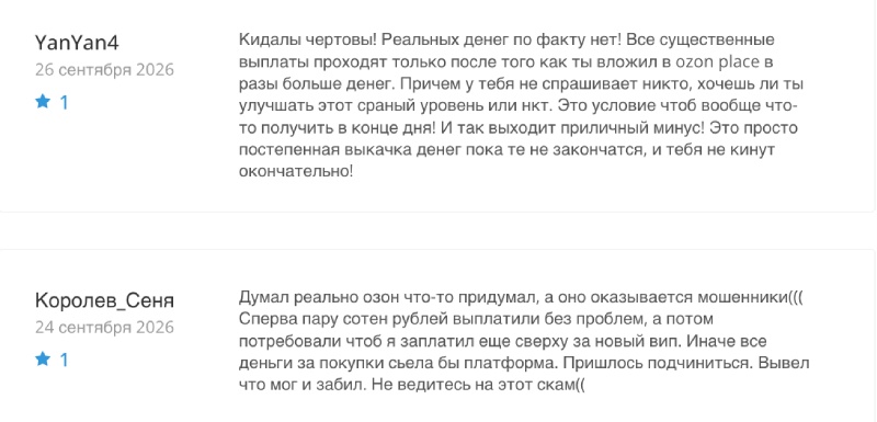 Фейковый маркетплейс Ozon Place и его схема по обману клиентов