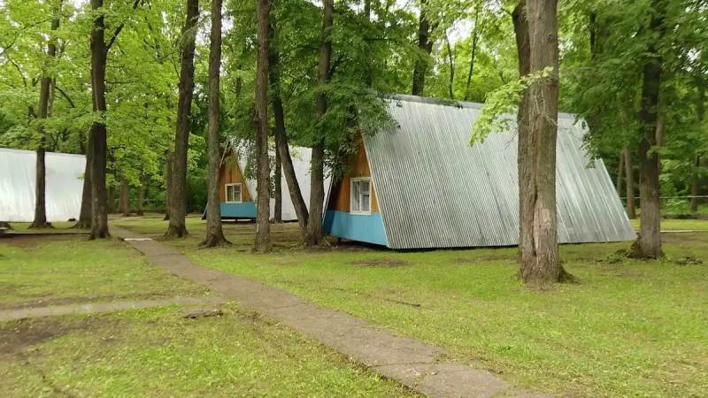 Путевки в липовые лагеря