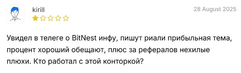 BitNest — реальный заработок на инвестициях в пул ликвидности или очередная финансовая пирамида? 