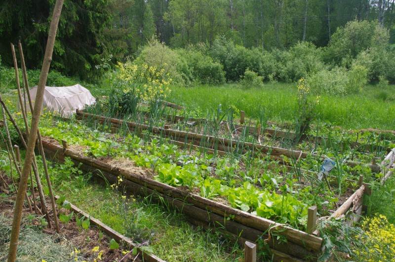 Дачные участки под прицелом мошенников