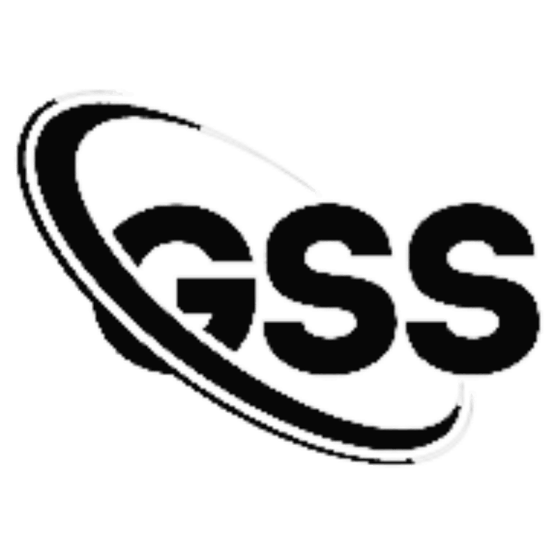 Global Solution Strategies logo