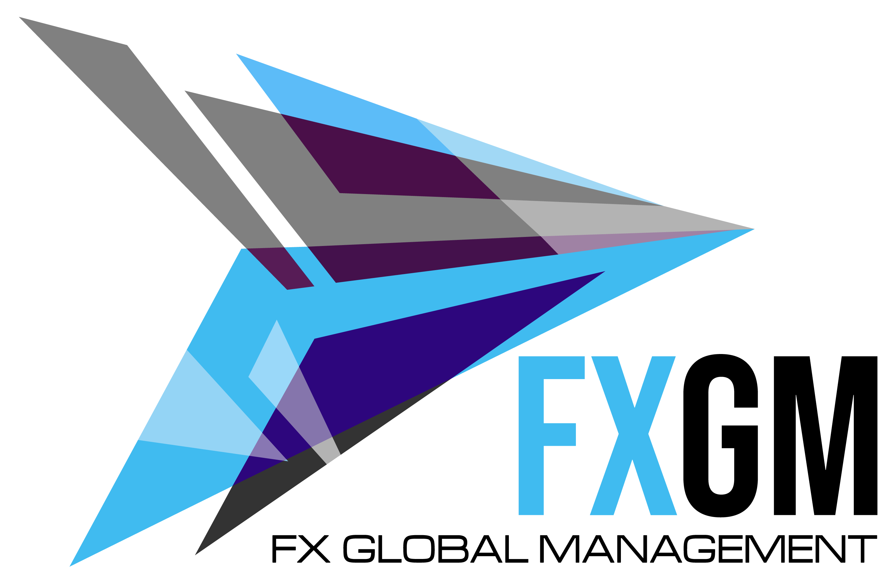 FX Global Management logo