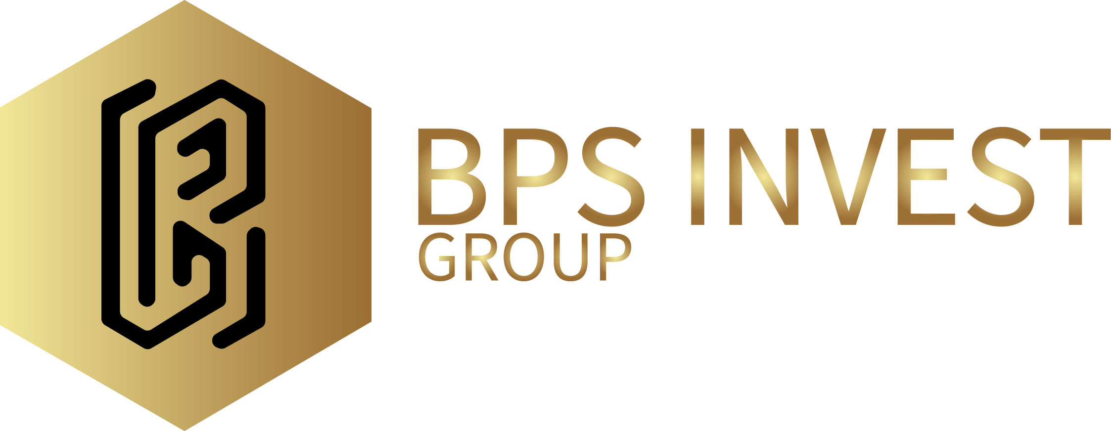 BPS Invest Group logo