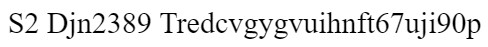 S2 Djn2389 Tredcvgygvuihnft67uji90p logo