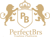 PerfectBrs logo