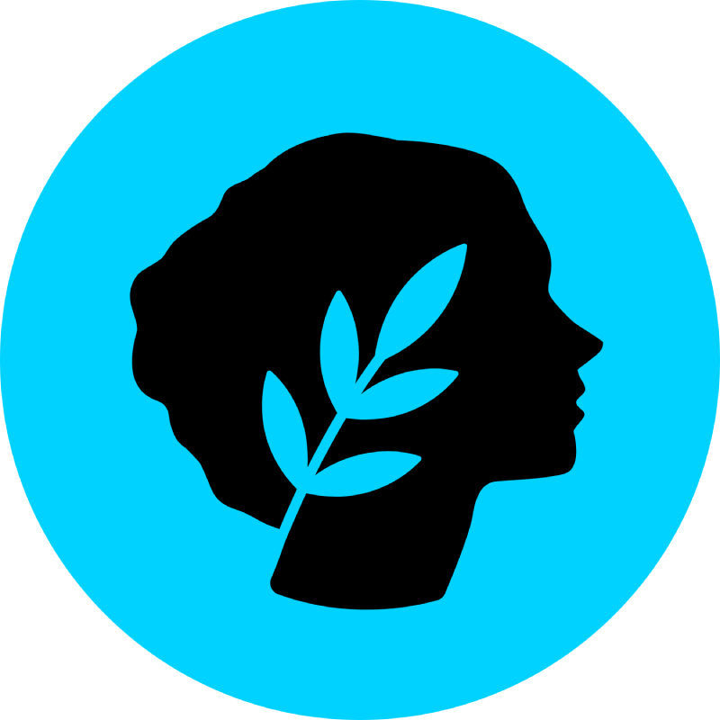 Metis Andromeda explorer logo