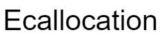 Ecallocation logo