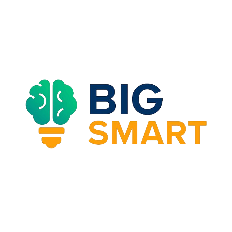BigSmart logo