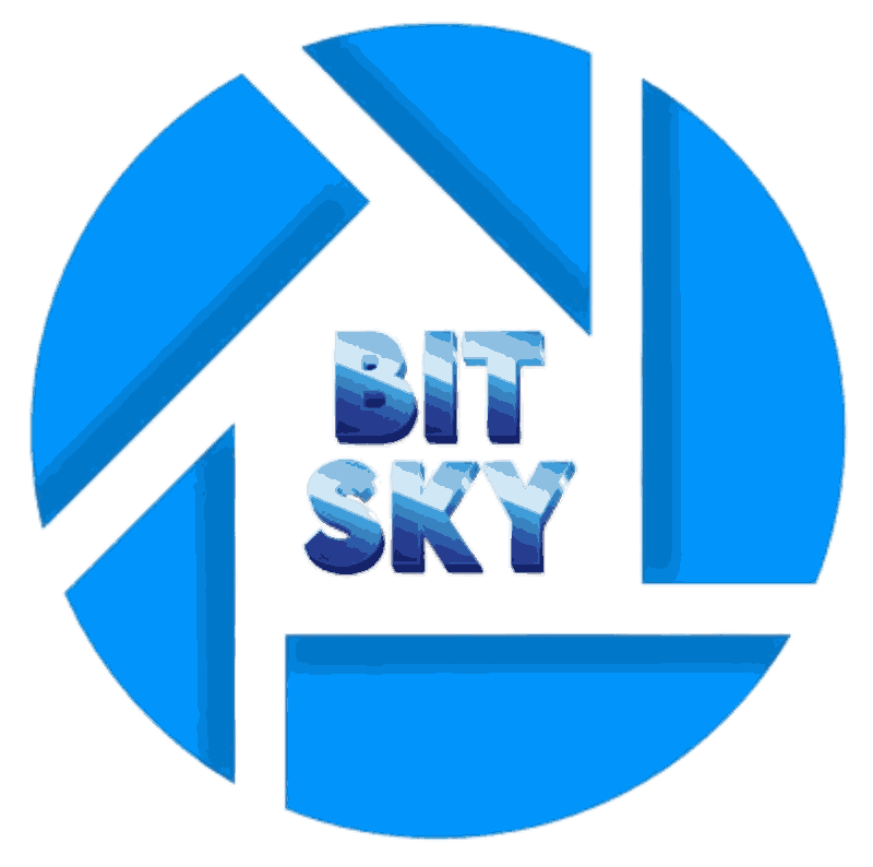 Bitsky Recoupment Agency (bitskyrecoupmentagency.org) logo