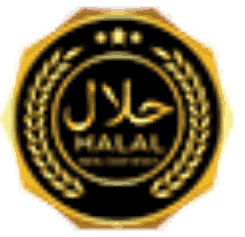 UAE HALAL INVEST logo
