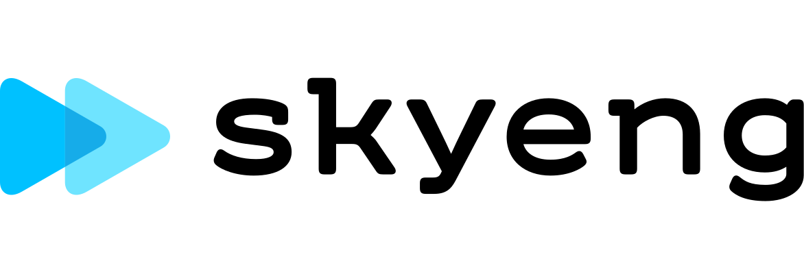 Skyeng logo
