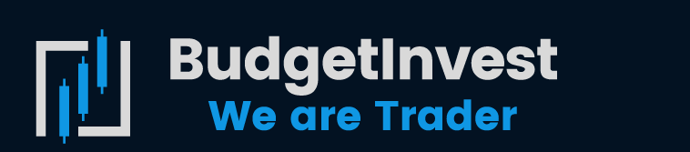 Budget Invest logo