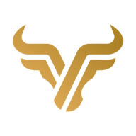 Capital Ventures logo