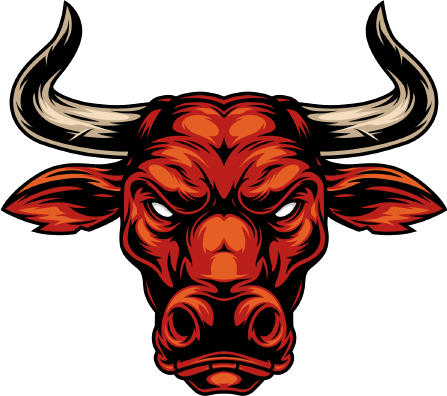 Bulls Wallet logo