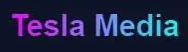 Teslavideomedia logo