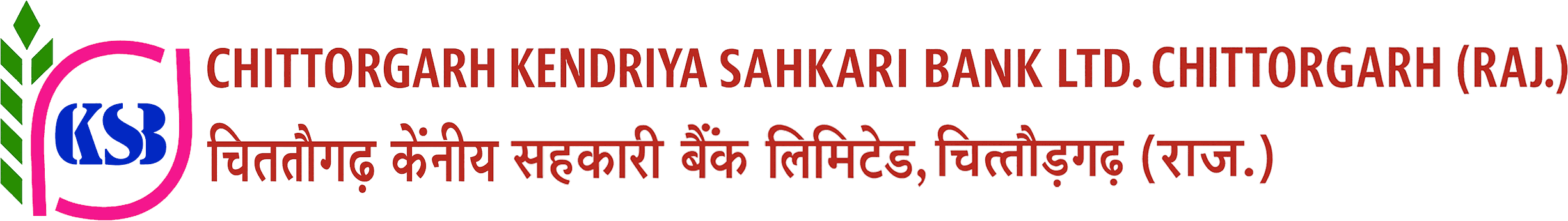Chittorgarh Kendriya Sahkari Bank Ltd logo