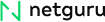 Netguru logo