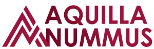 Aquilla Nummus (aquillanummus.pro) logo