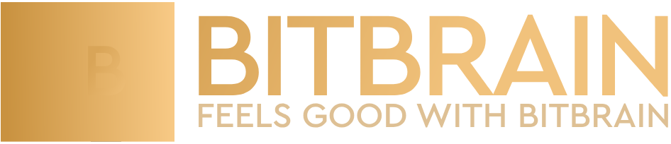 Bit Brain logo