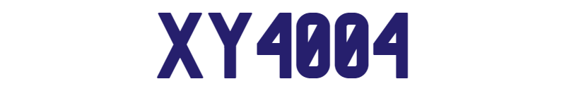 Xy4004 logo