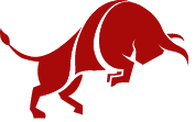 Bull Investments logo