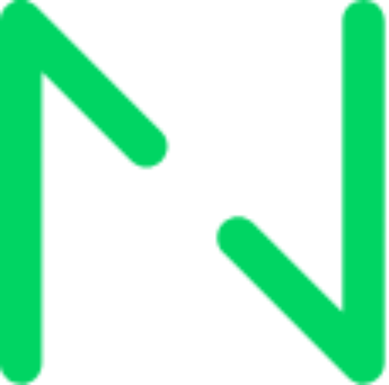 Netguruhoe logo