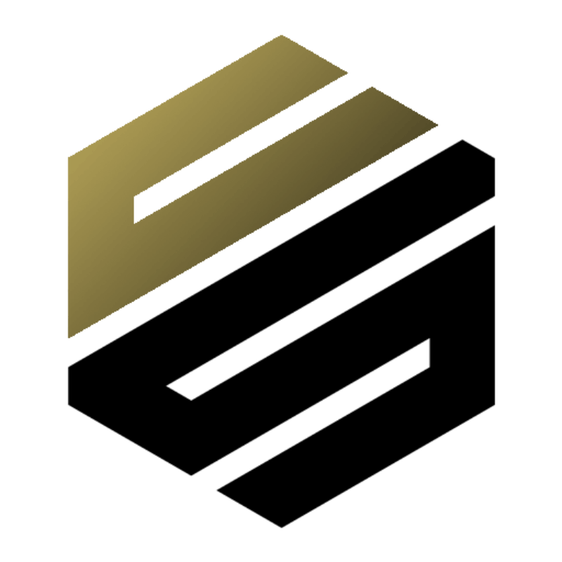 Деловые Стандарты logo