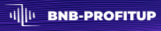 BNB Profitup logo