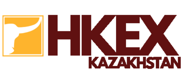 HKEX Platform logo