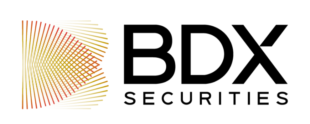 BDX Securities logo