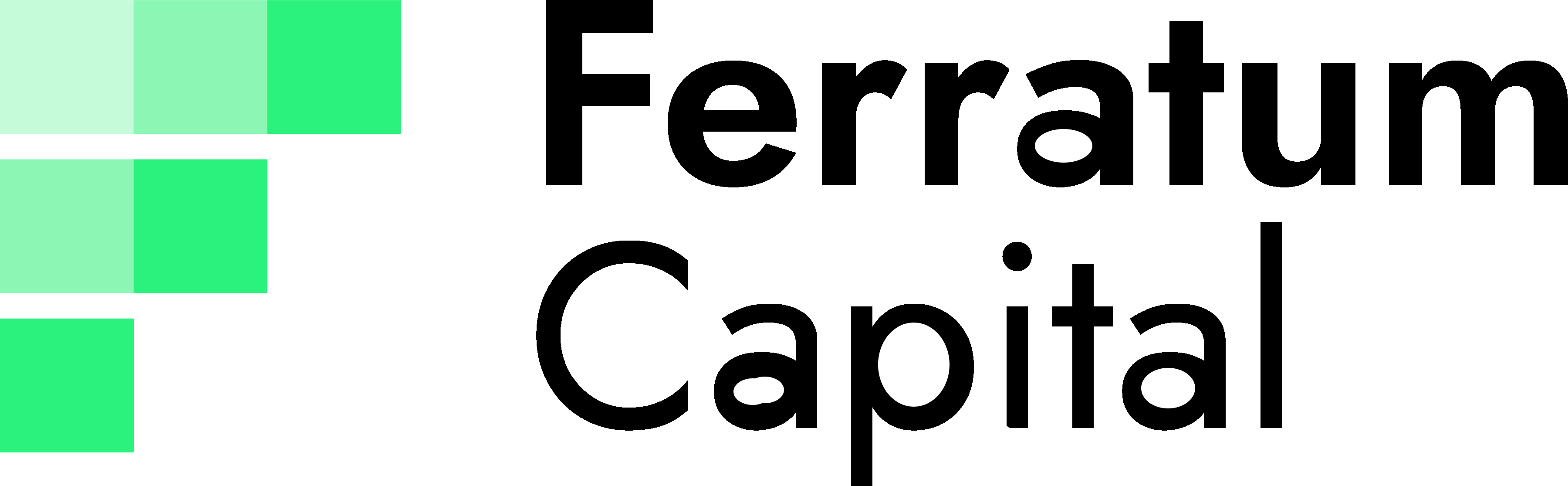 Ferratum Capital logo